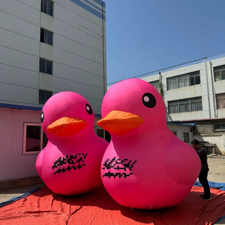 inflatable duck (1)