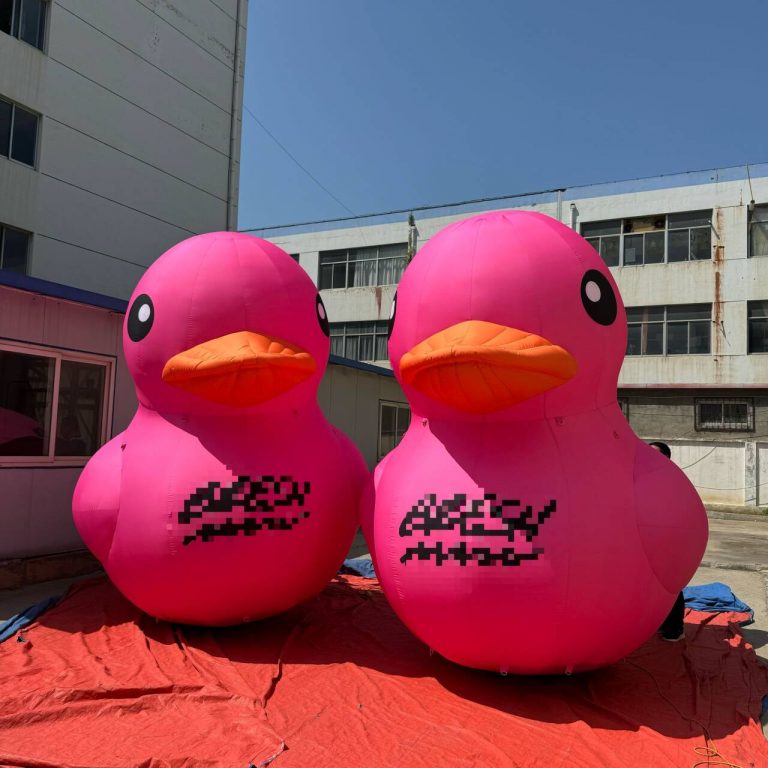 inflatable duck (2)