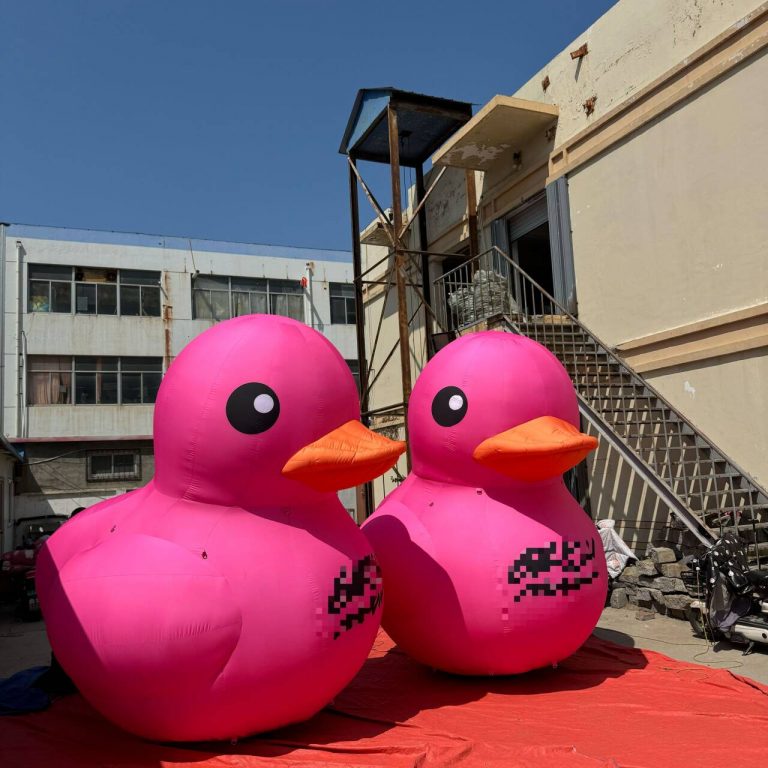 inflatable duck (4)