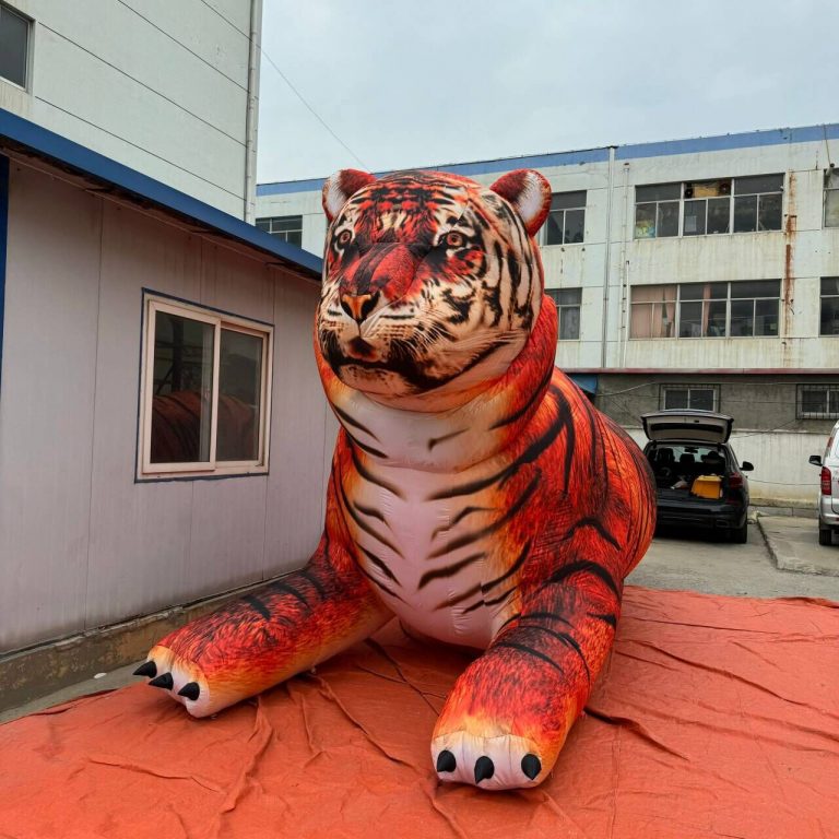 tiger (3)