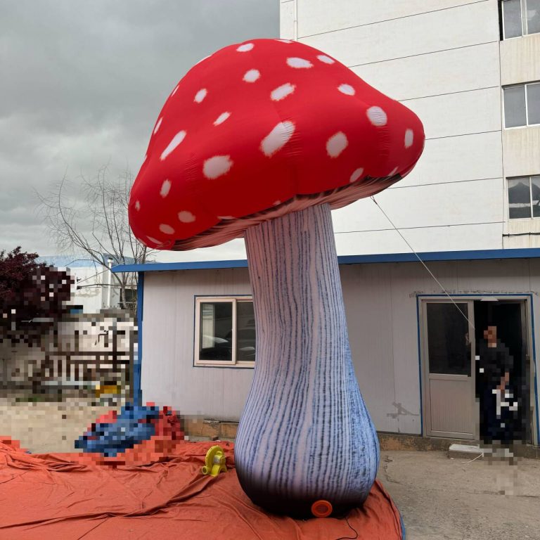 giant mushroom (2)