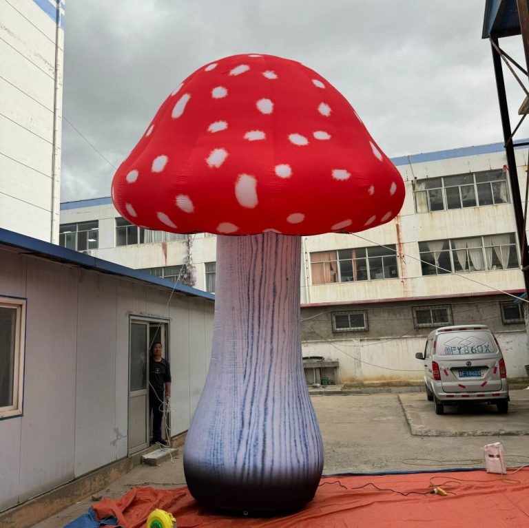 giant mushroom (3)