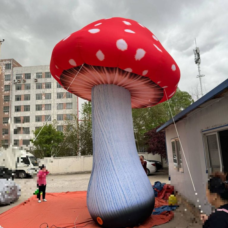 giant mushroom (5)