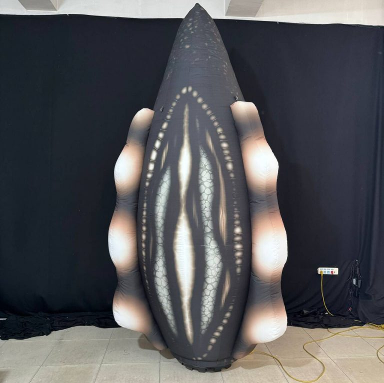2m inflatable conch inflatable custom marine wildlife decorations